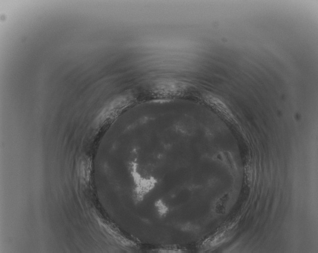 X0000063500458200601271749