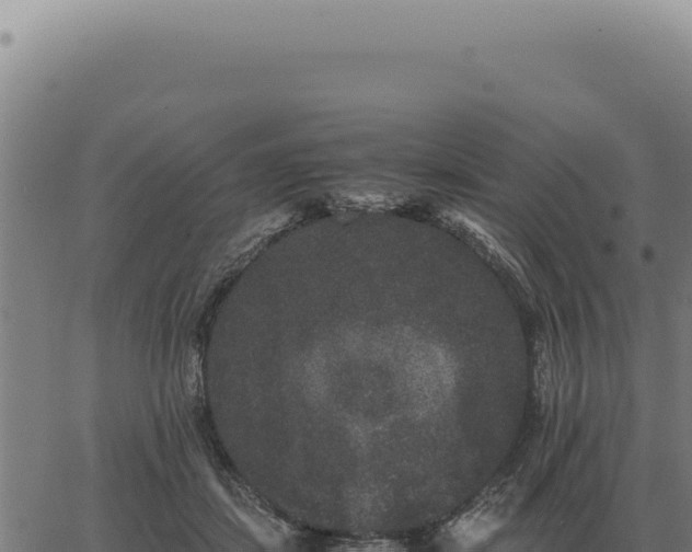 X0000063500459200601271749