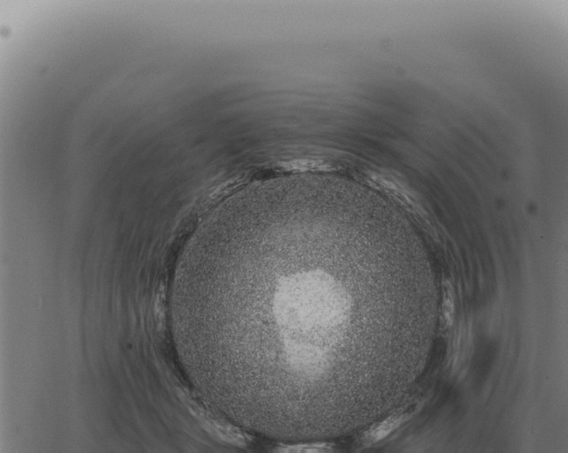 X0000063500461200601271749