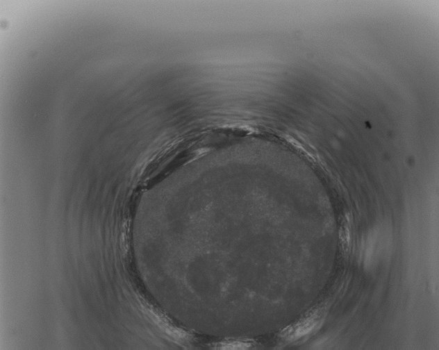 X0000063500462200601271749