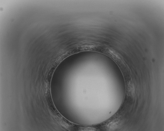 X0000063500463200601271749