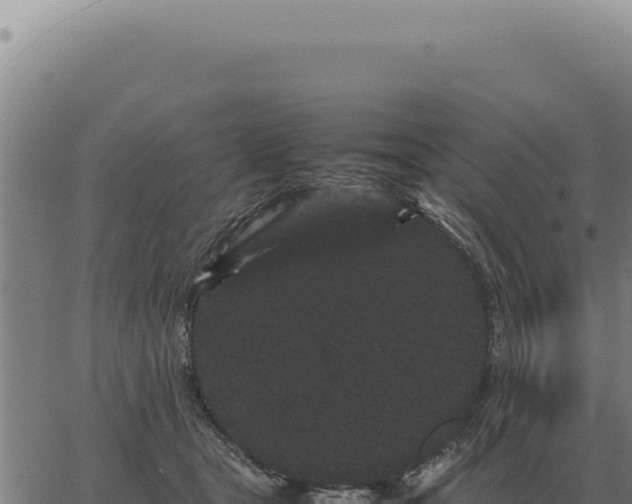 X0000063500465200601271749