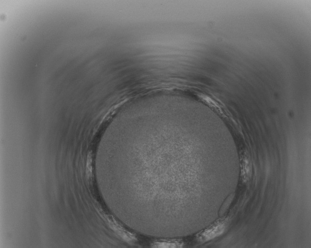 X0000063500466200601271749