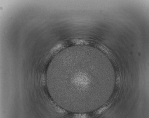 X0000063500469200601271749