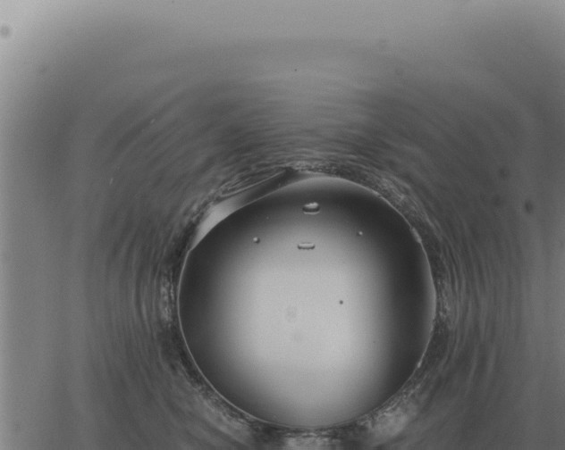 X0000063500470200601271749