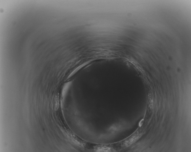 X0000063500471200601271749