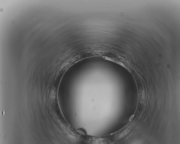 X0000063500472200601271749