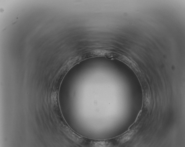 X0000063500473200601271749