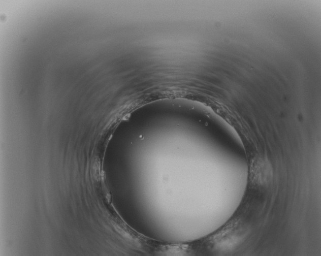 X0000063500474200601271749