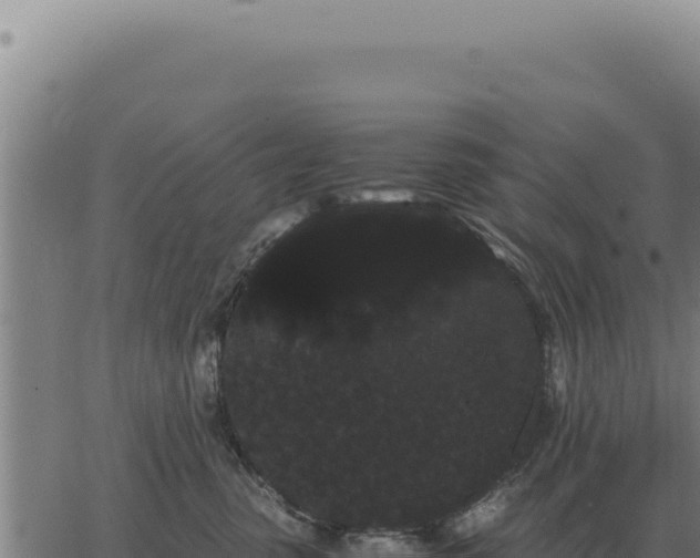 X0000063500475200601271749