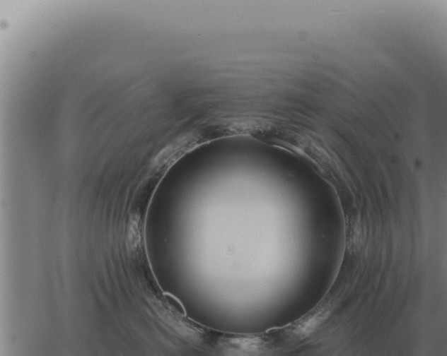 X0000063500478200601271749