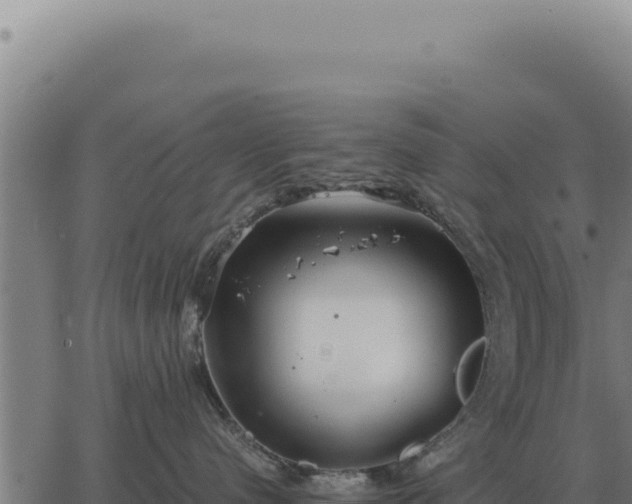 X0000063500480200601271749