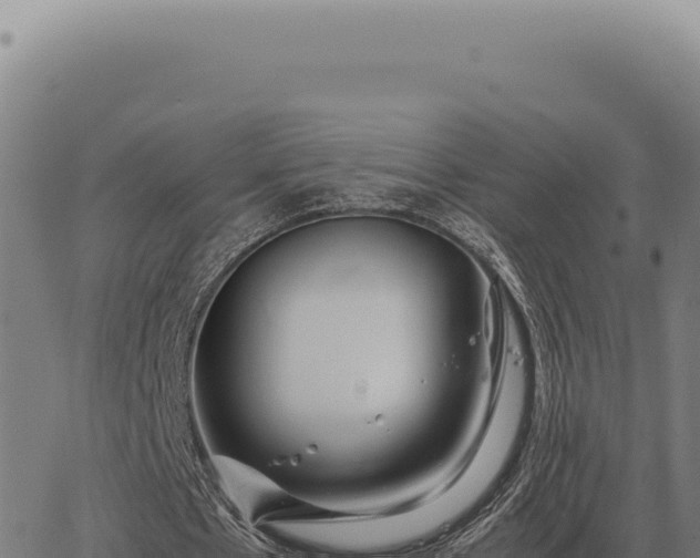 X0000063500481200601271749