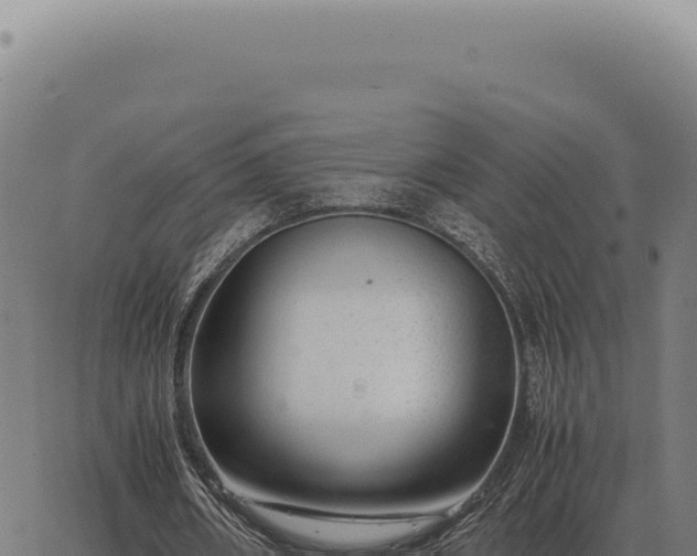 X0000063500482200601271749