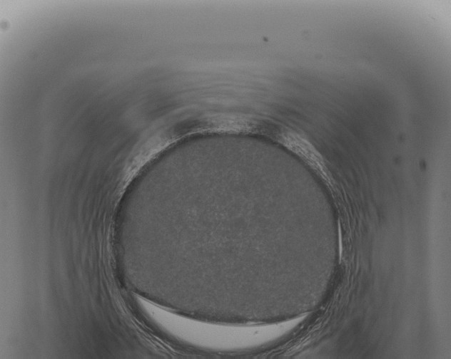 X0000063500483200601271749