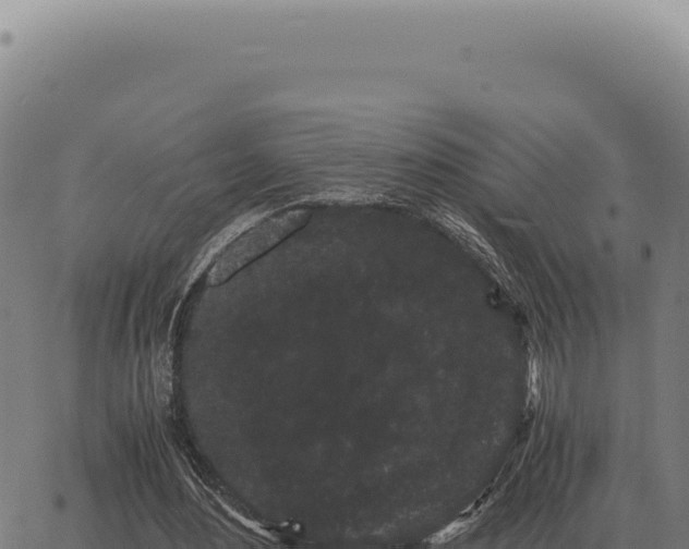 X0000063500484200601271749