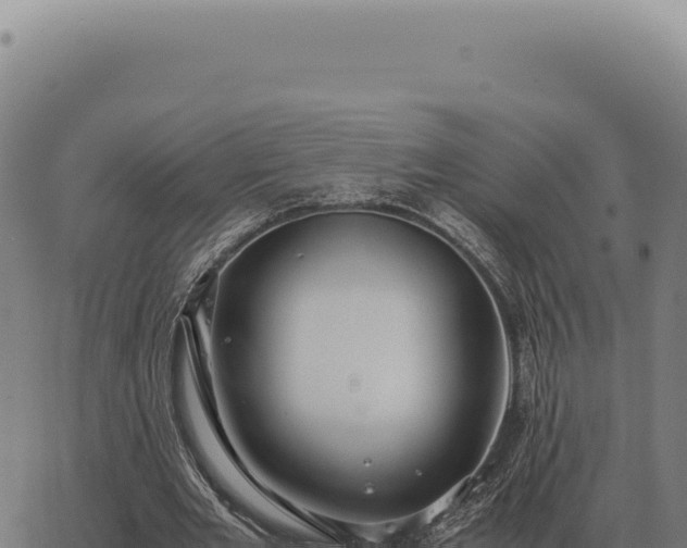 X0000063500485200601271749