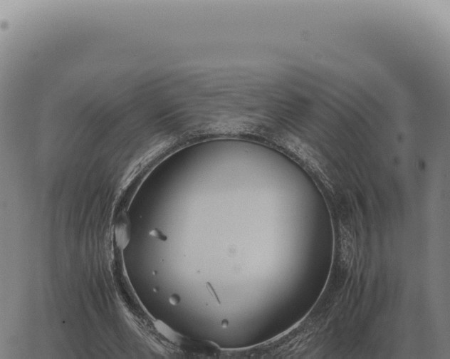 X0000063500486200601271749