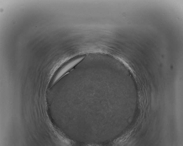 X0000063500487200601271749