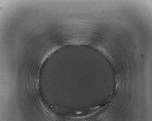 X0000063500488200601271749