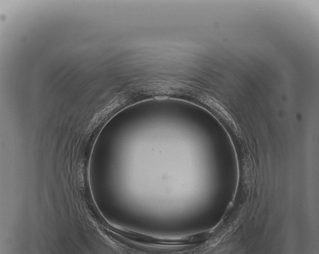 X0000063500489200601271749