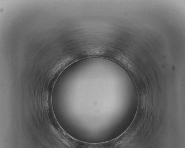 X0000063500490200601271749