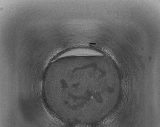 X0000063500491200601271749