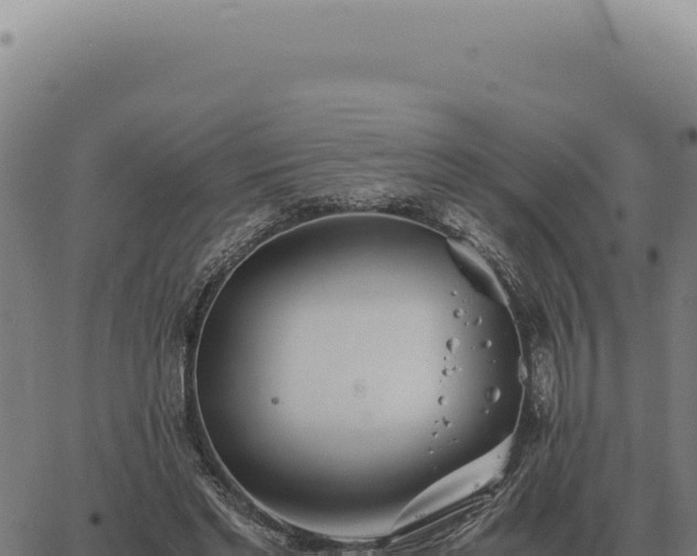 X0000063500493200601271749