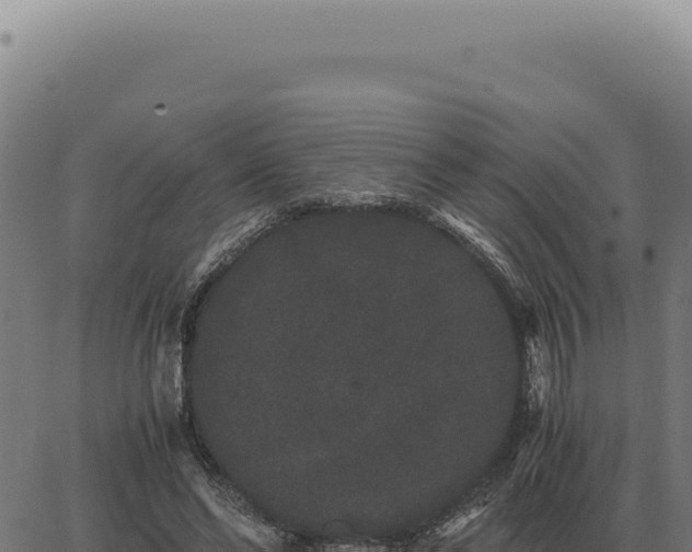 X0000063500494200601271748