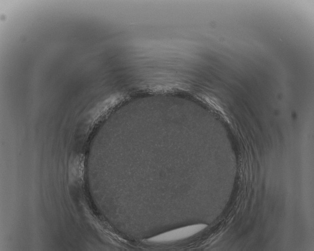 X0000063500495200601271748