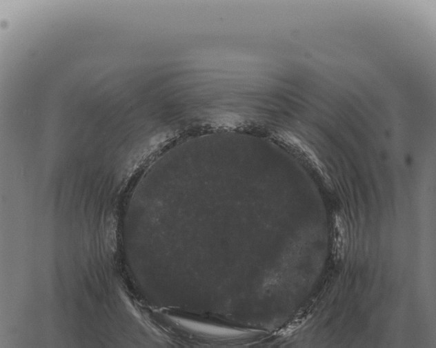 X0000063500496200601271748