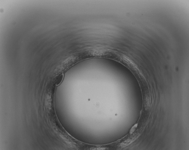 X0000063500497200601271748