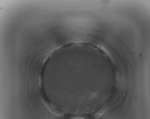 X0000063500500200601271748