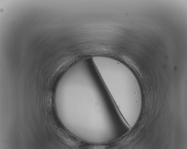 X0000063500501200601271748