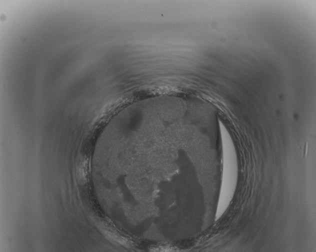 X0000063500503200601271748