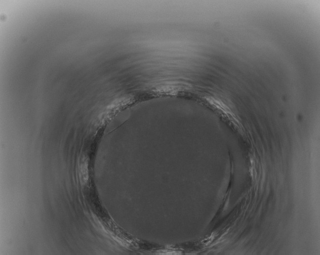 X0000063500504200601271748