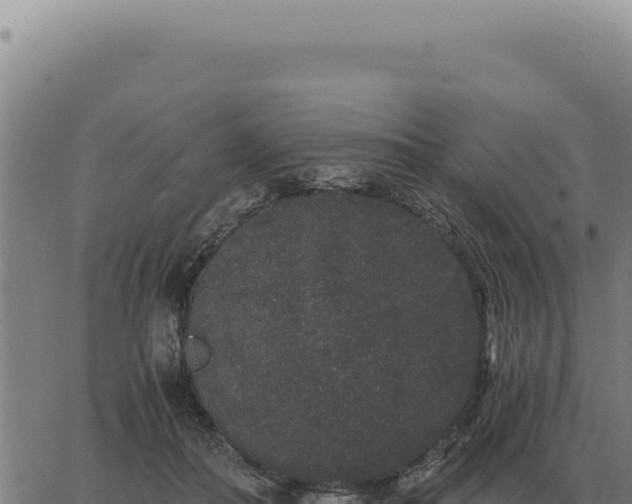 X0000063500506200601271748