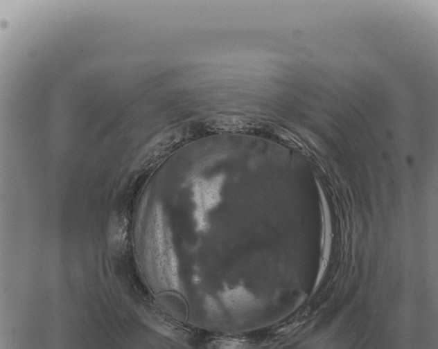 X0000063500507200601271748