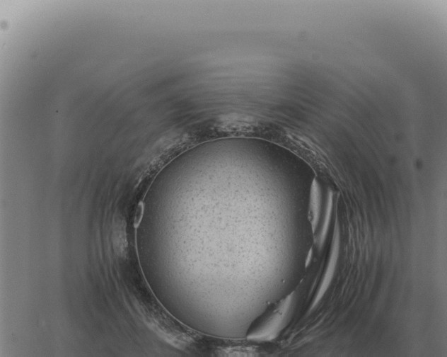 X0000063500508200601271748