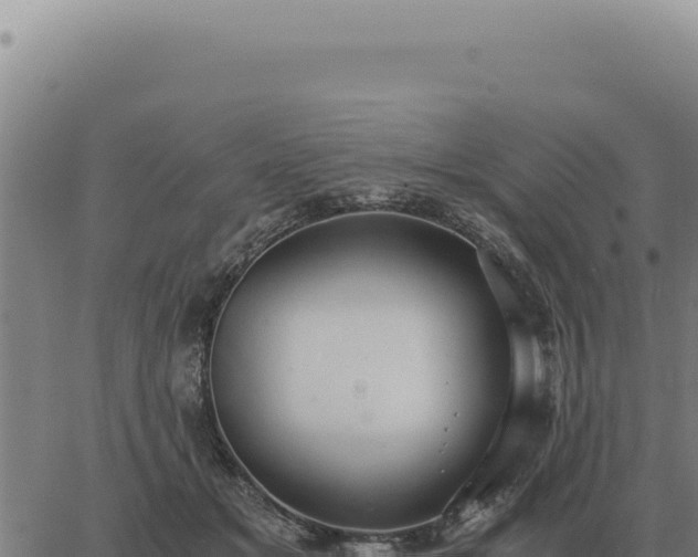 X0000063500509200601271748