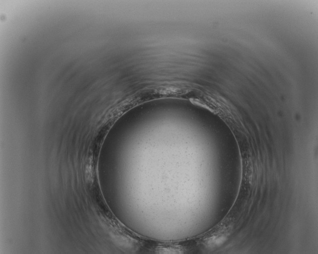 X0000063500510200601271748