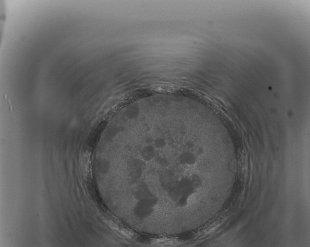 X0000063500511200601271748