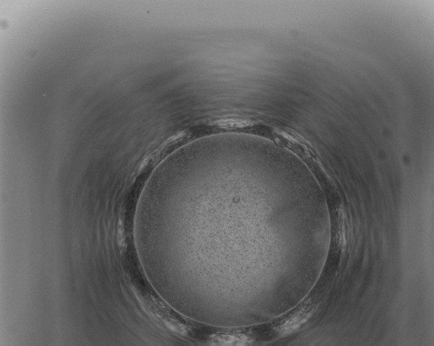 X0000063500512200601271748