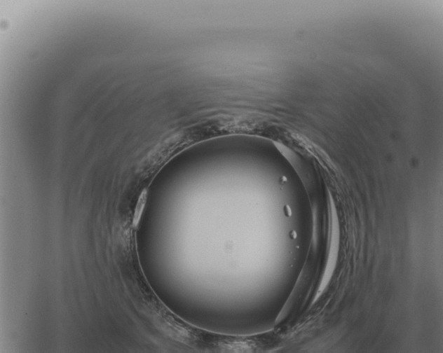 X0000063500513200601271748