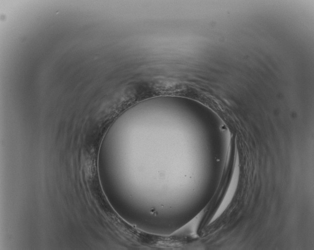 X0000063500515200601271748