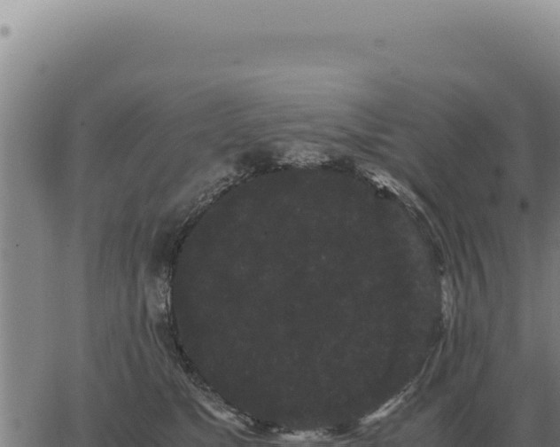 X0000063500517200601271748