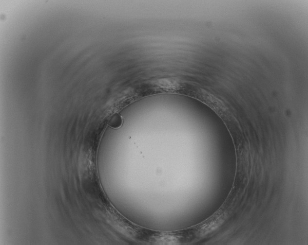 X0000063500518200601271748