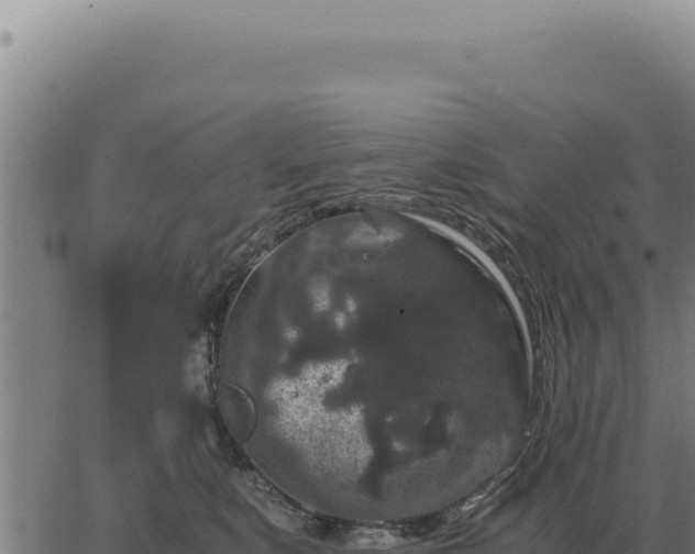 X0000063500519200601271748