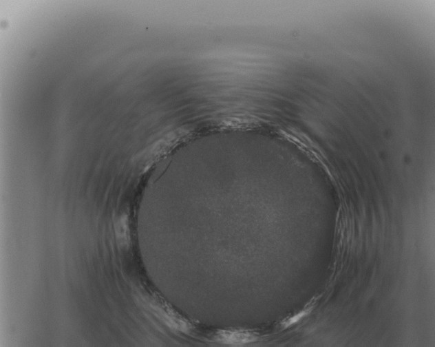 X0000063500520200601271748