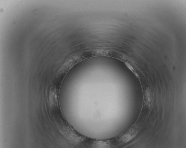 X0000063500522200601271748